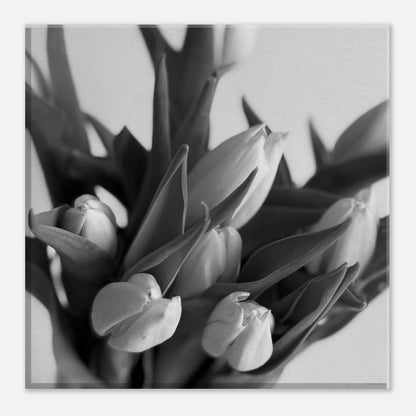 14c6120b-4126-4ee7-ba4b-1ee8037c8955