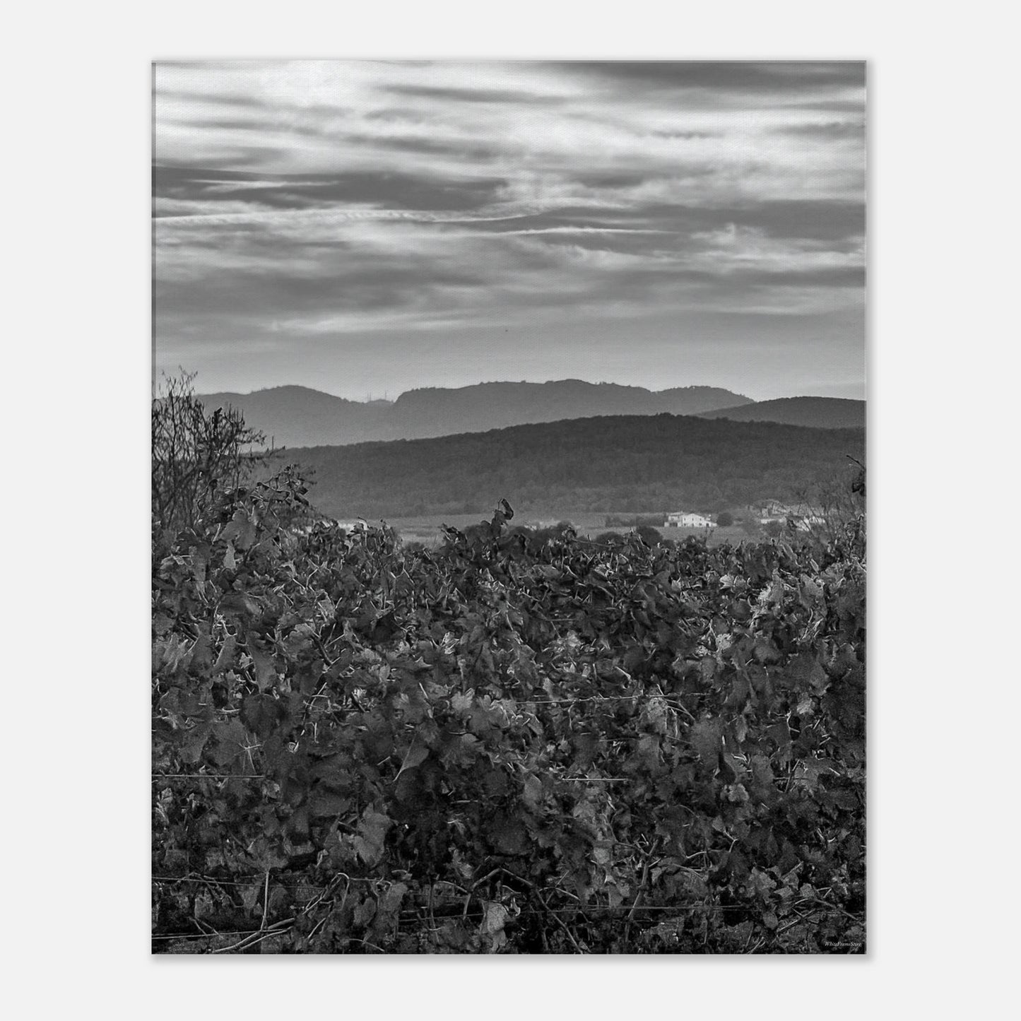 14c9b06a-8fa5-4d28-be93-4b429fdd8499