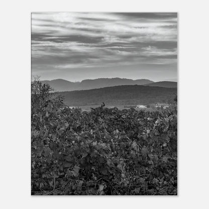 14c9b06a-8fa5-4d28-be93-4b429fdd8499