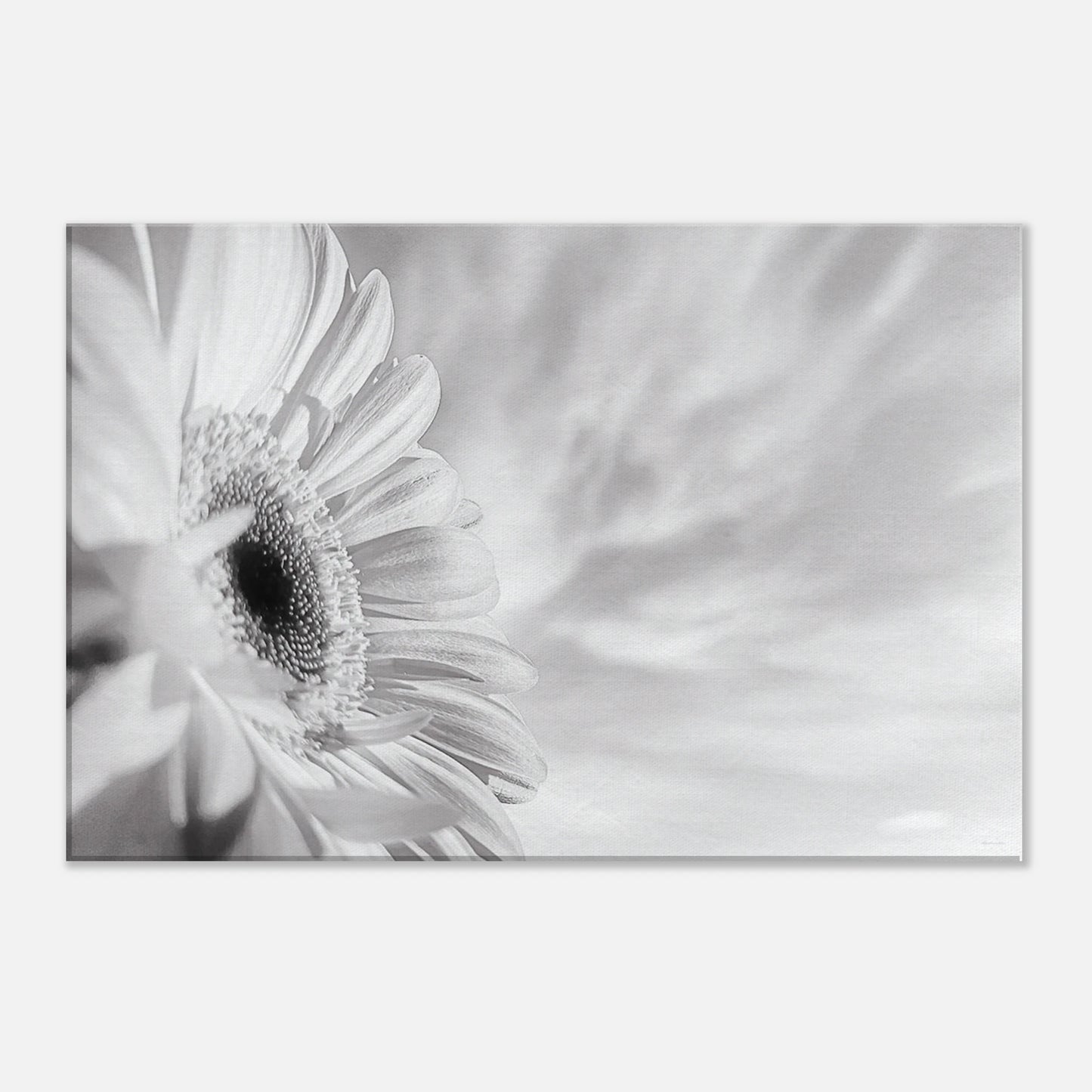 14fd1e9c-b5e6-42d3-8518-cf66fd9341b4