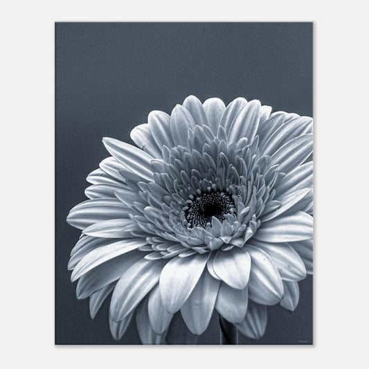 150d85ae-ad71-4cf9-8149-3aef44526e42