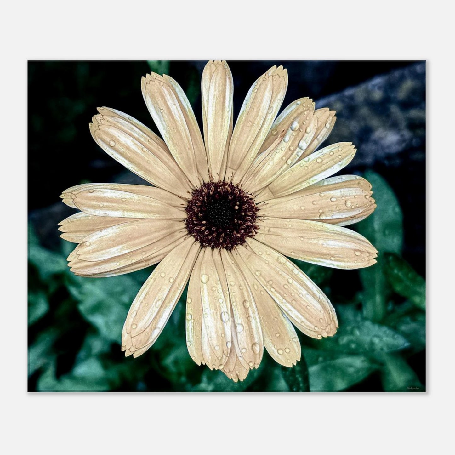 151db7fe-d6a8-496f-9a3a-45496cbd1104