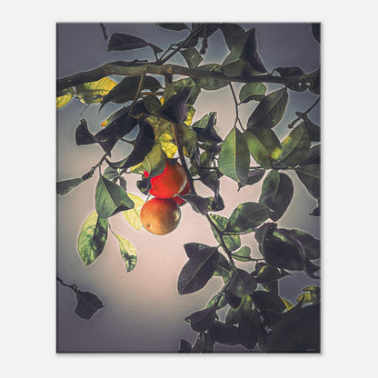 1591da28-e363-4149-8306-1880abae7cdc