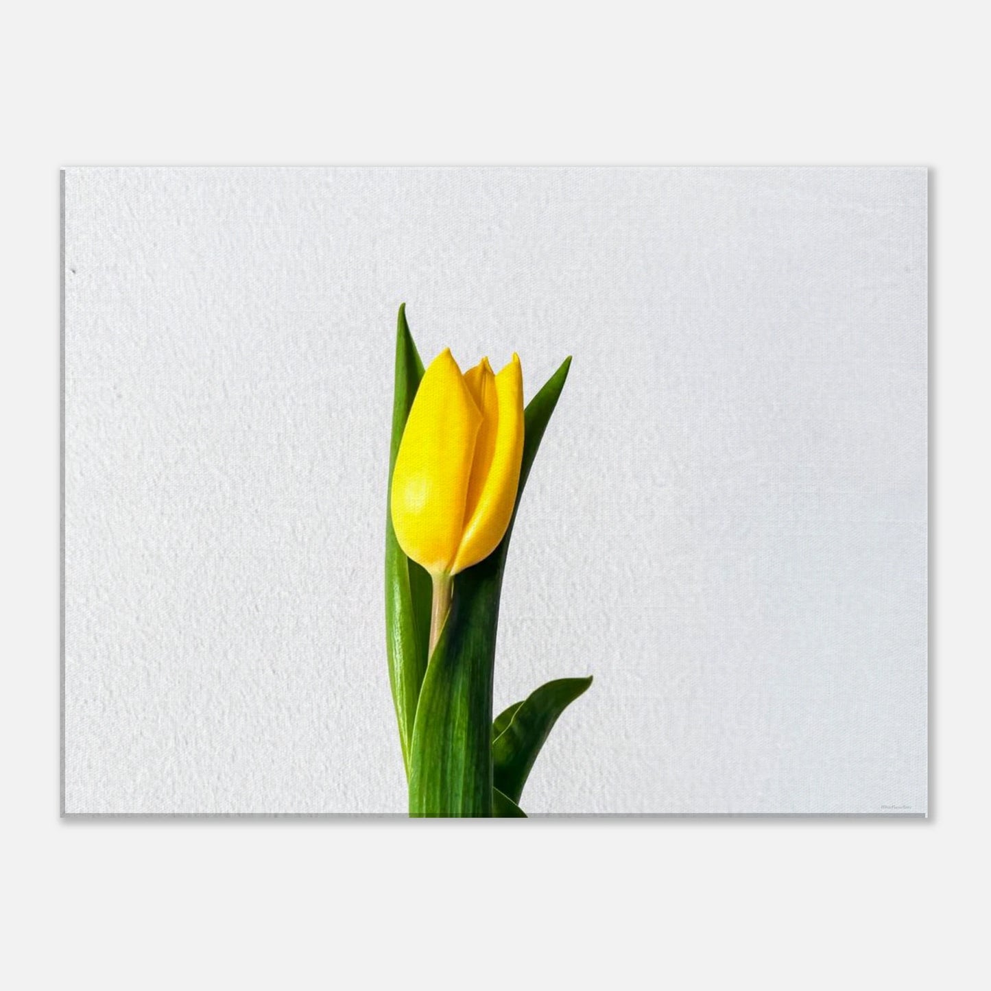 15a1df76-c7f6-4ce4-87e5-e2a93d44914f