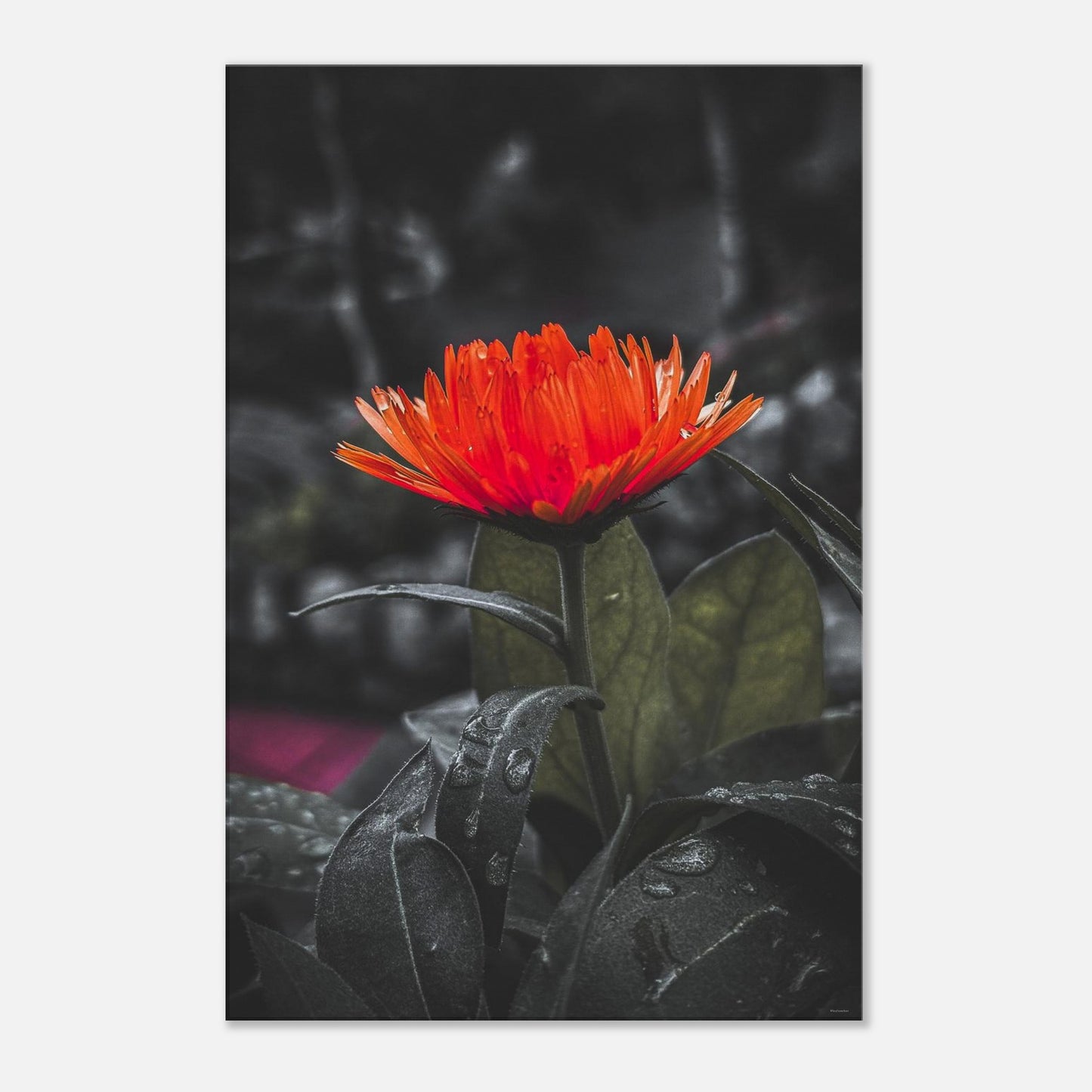 15ae6a69-9bea-426c-bd49-b98cd8a09514