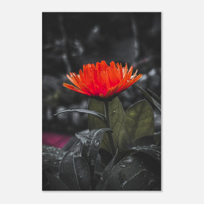 15ae6a69-9bea-426c-bd49-b98cd8a09514