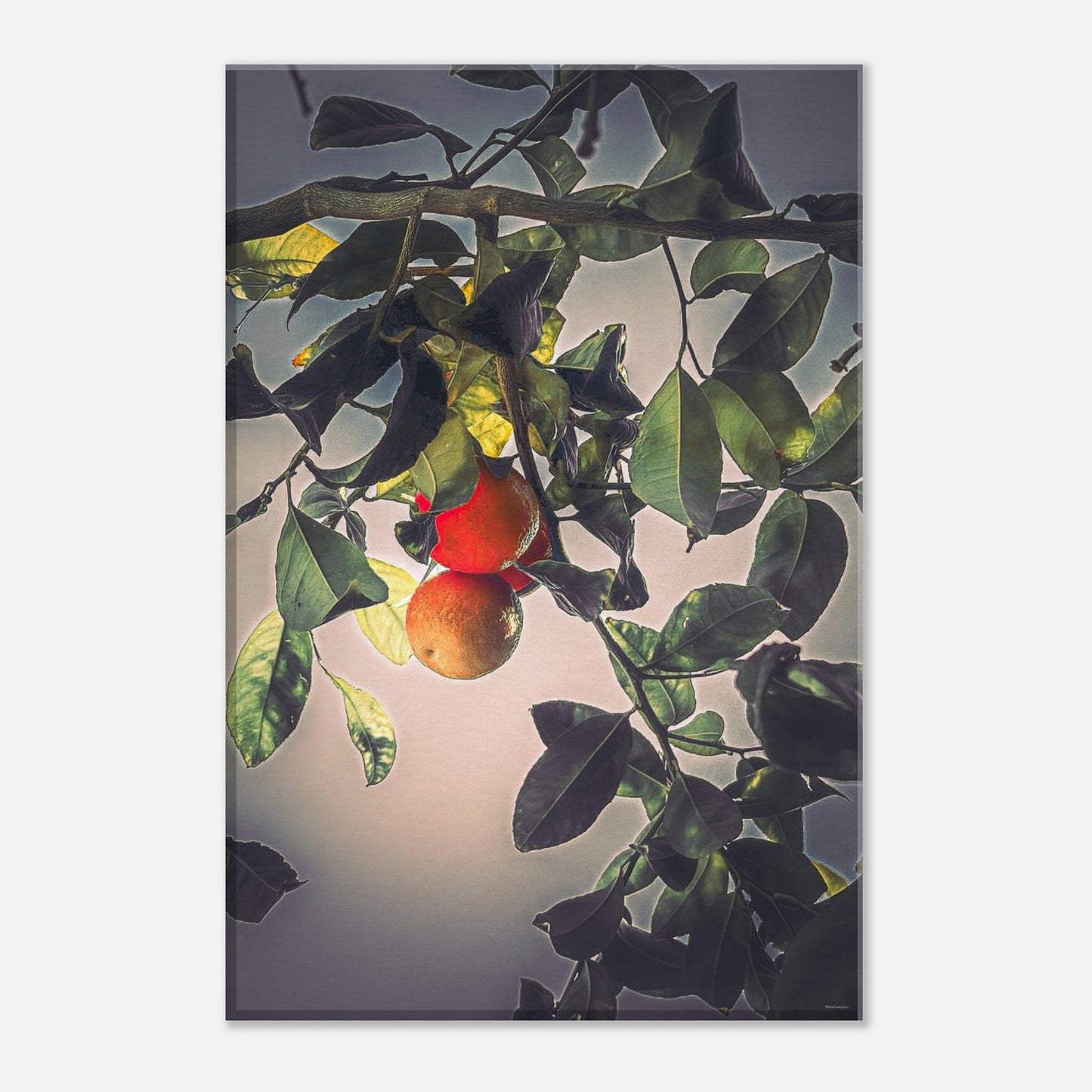 15d989fb-5bf1-4be9-97c6-c4823fd346a6