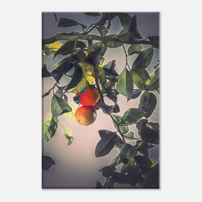 15d989fb-5bf1-4be9-97c6-c4823fd346a6