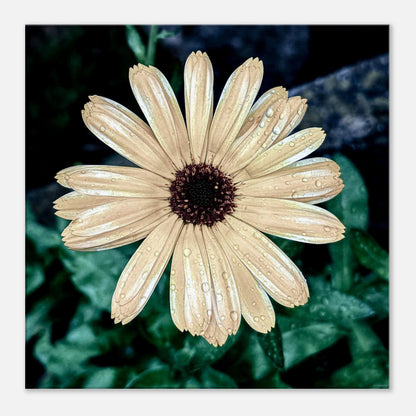 1612dc3d-fa47-4ebc-9b06-99c79bc886f7