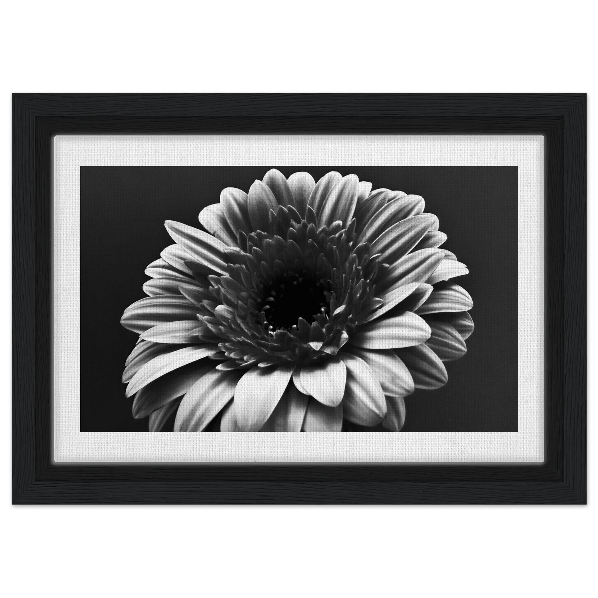 1618af83-cd1c-4bc1-9912-50dacd8bafbf