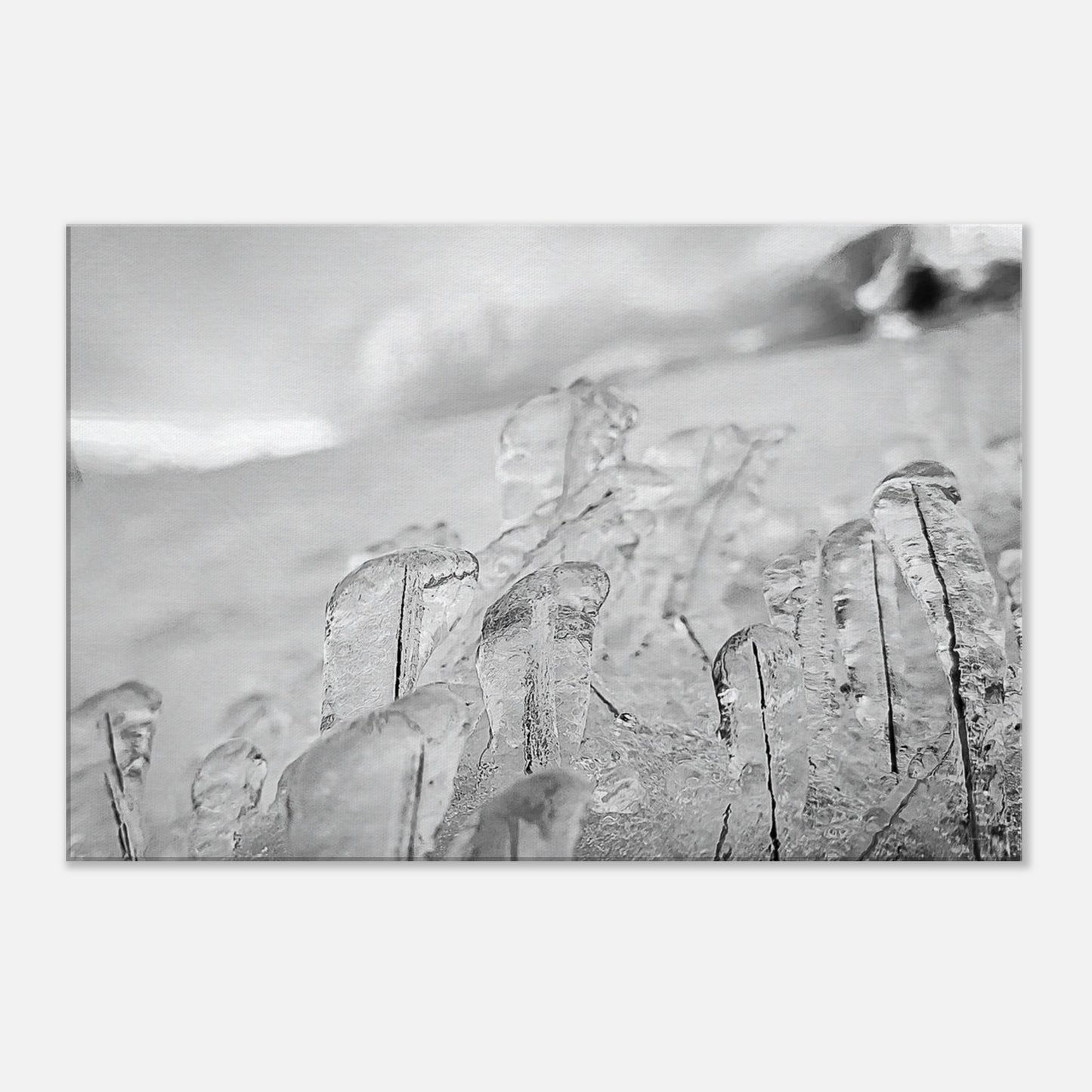 162f972e-1385-48d4-af15-9d50595e6d52