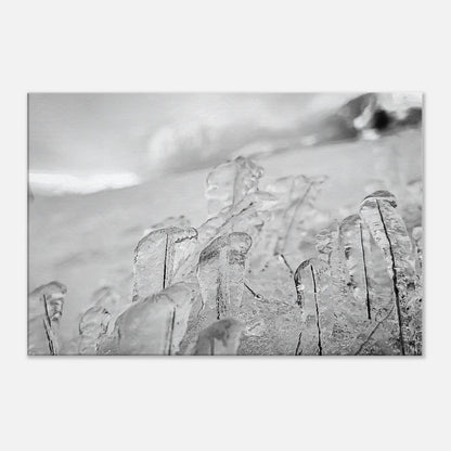 162f972e-1385-48d4-af15-9d50595e6d52