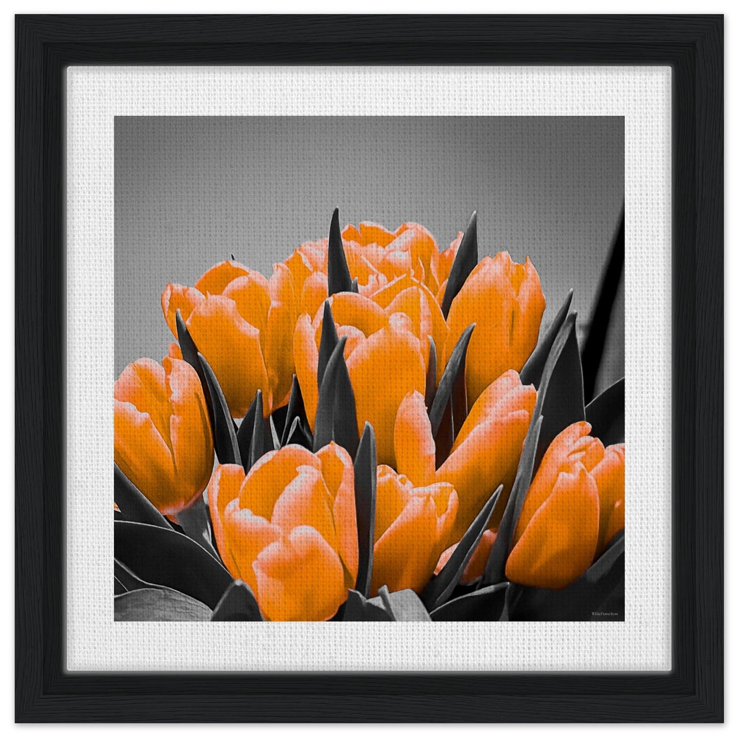 164f6acc-936d-4231-b28d-291f2e3ad4e8