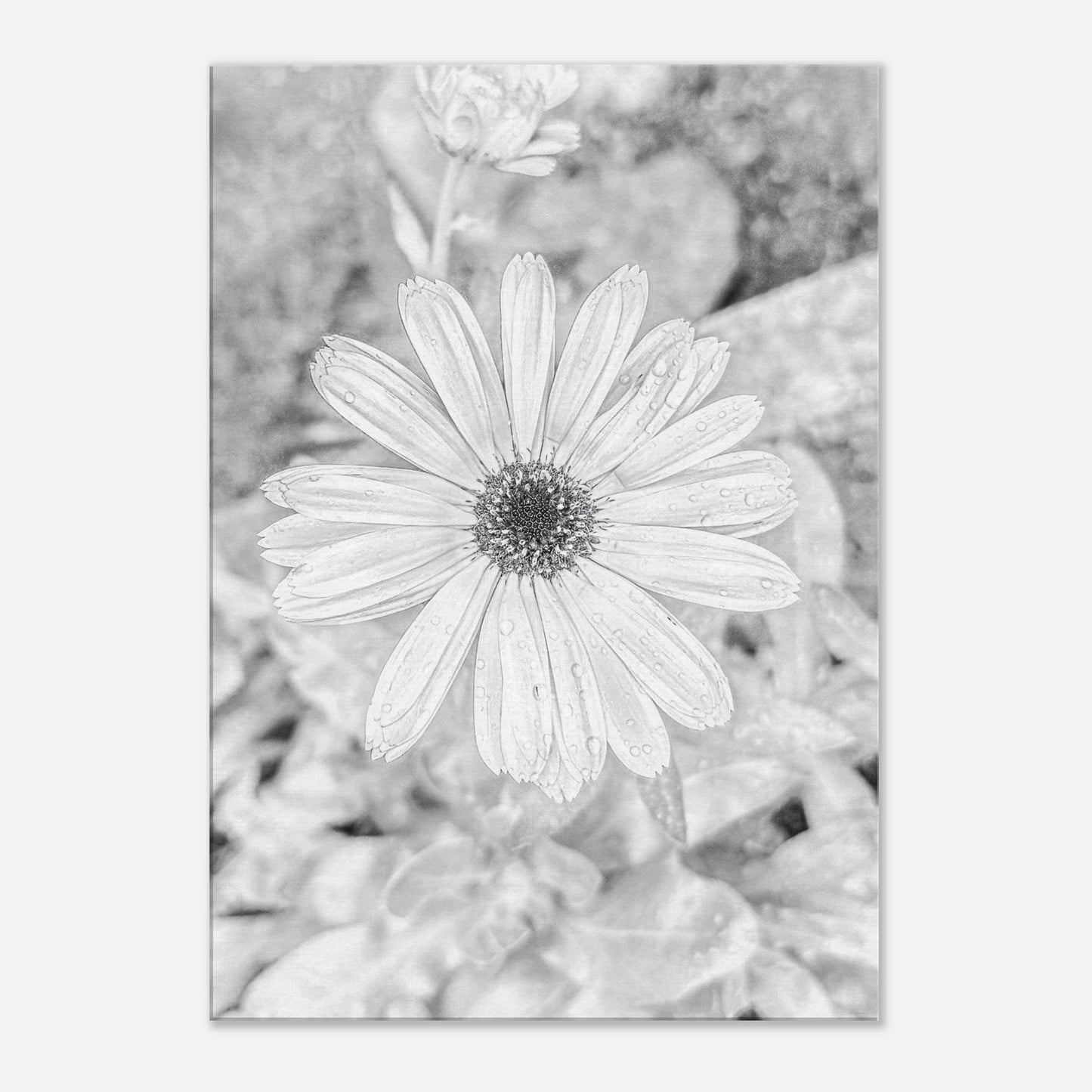 166b4cb8-850e-4da4-b17c-55eb15730a3c