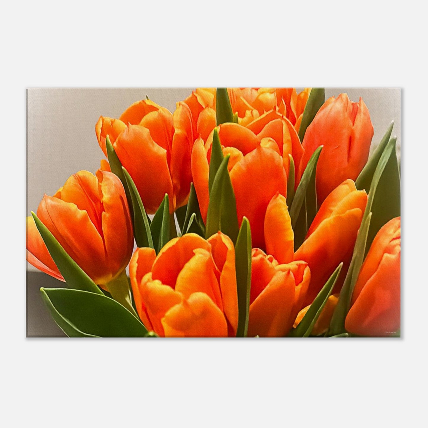 1677051f-0c3c-4e3d-ae9d-de4471e621bf