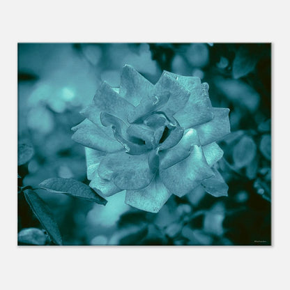 1682cbb0-4885-4268-86c0-119e887ddebc