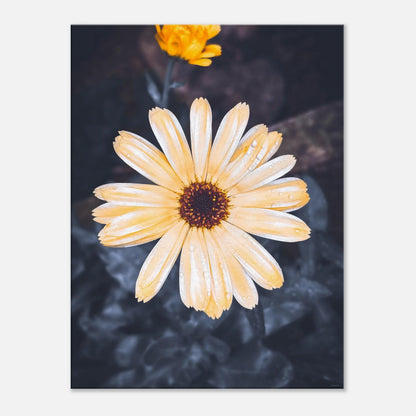 1688e27c-4539-447b-a7a9-1cb216a90780