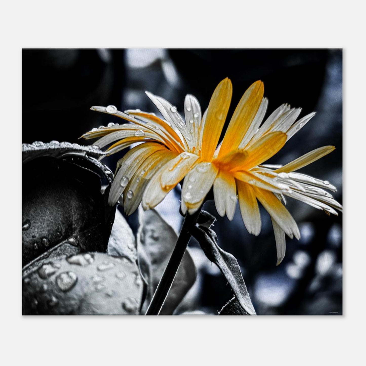 1692c7ea-95ae-4fbb-93d5-db4a8cee6c6f