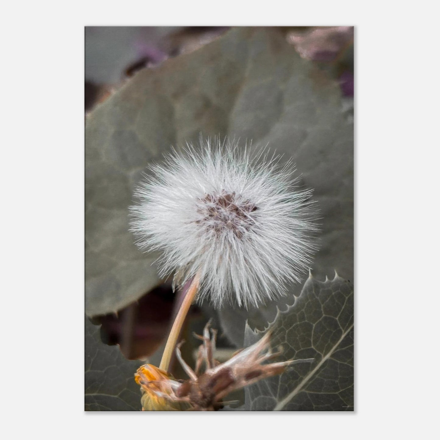 16eac5b4-00d7-43c6-87af-6977083bed99