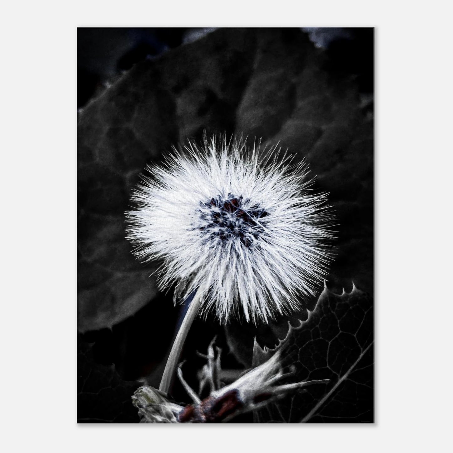 16f79405-b424-4dcb-92ce-650b28974596