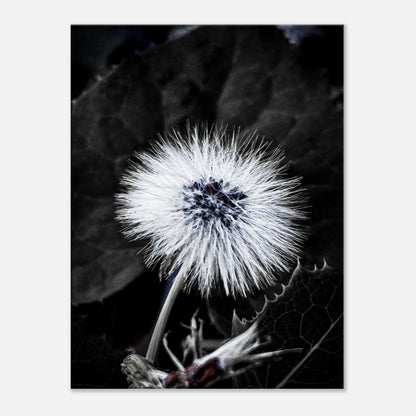 16f79405-b424-4dcb-92ce-650b28974596