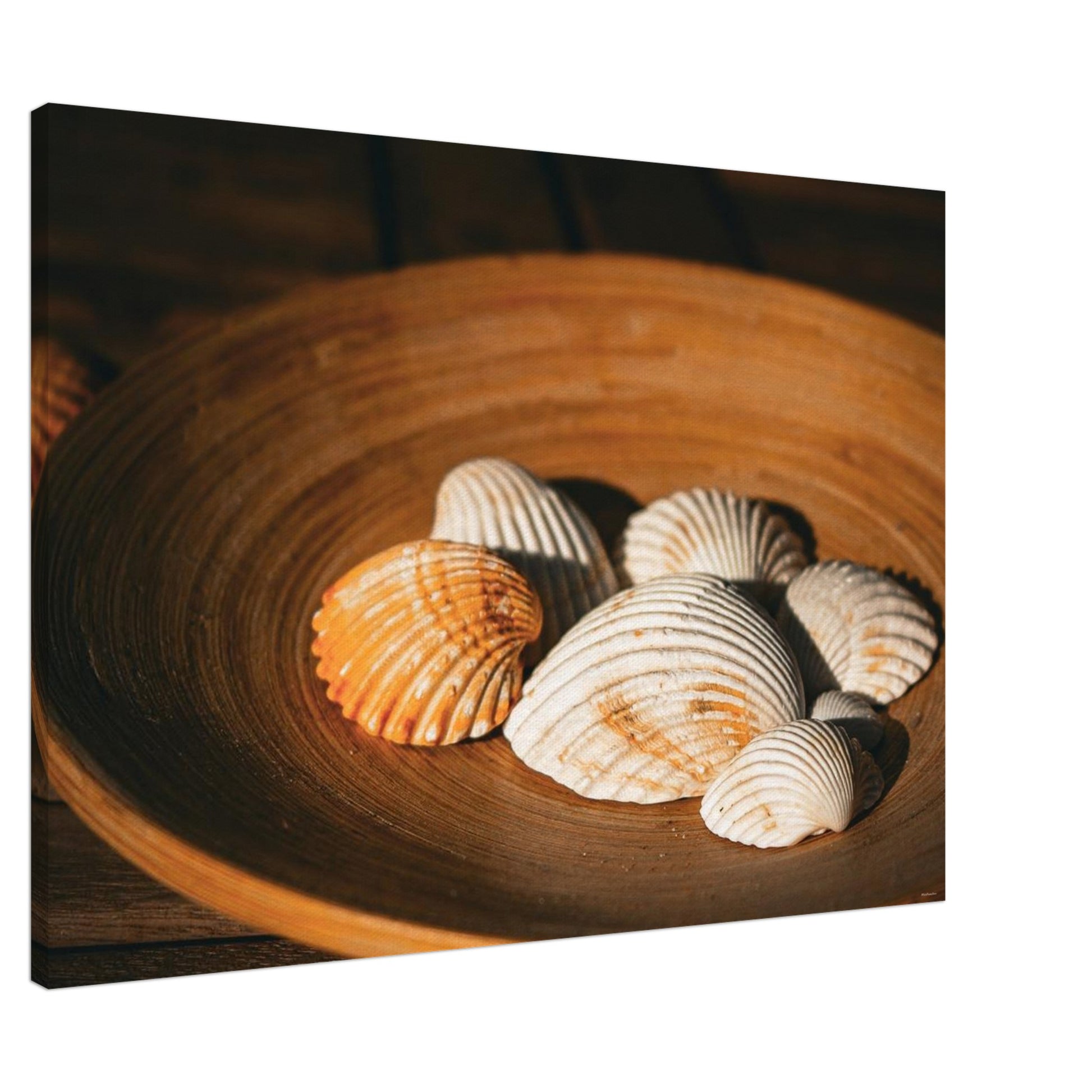 170c35f6-e6c2-4e49-8c34-1c59a5b5b555