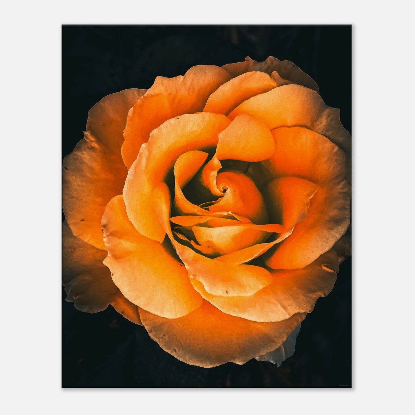 1743f2ab-9418-4ee1-b5cc-afa768328828