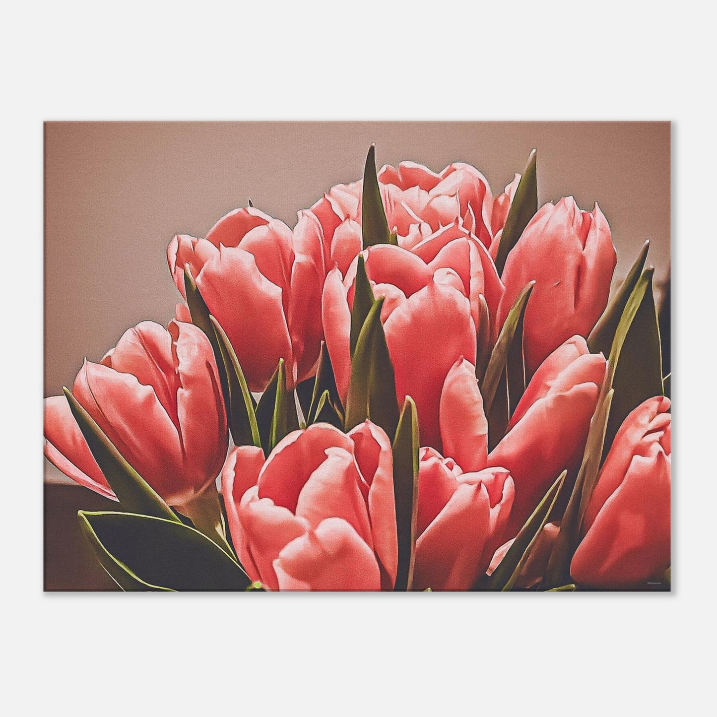 176db4a7-b245-41e4-b1ca-1fd9eb974e1d