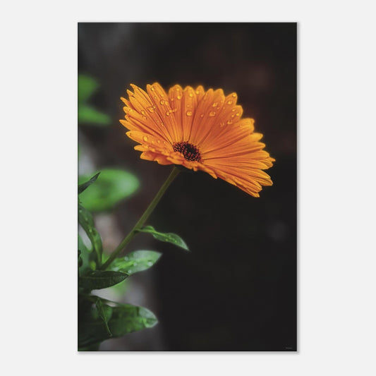 17834d20-12e9-4a30-a47c-855d75df48af