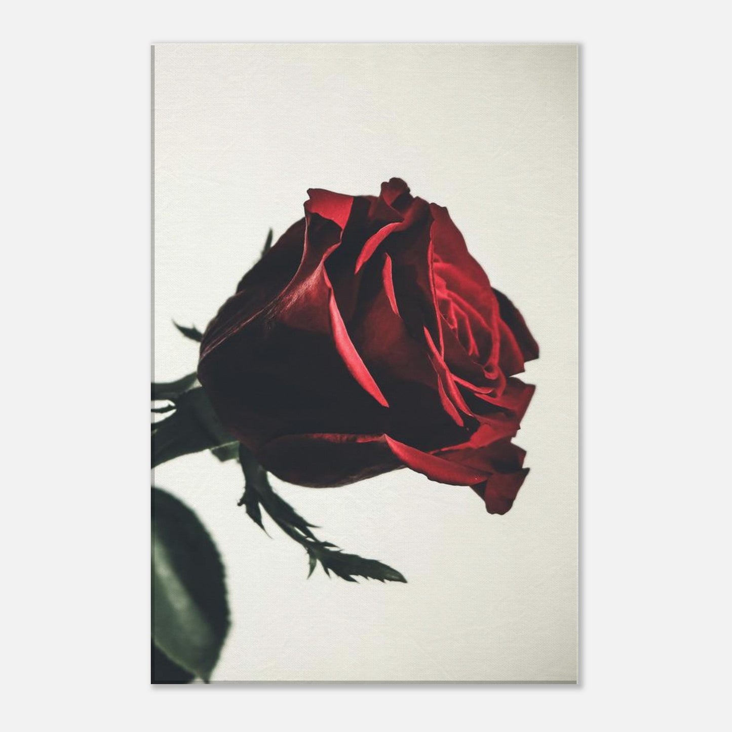 1785309d-d6de-416c-a4fb-22a2cac4df55