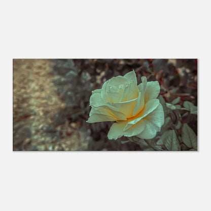 1793eb24-8565-4473-a231-28c7c7357dfe