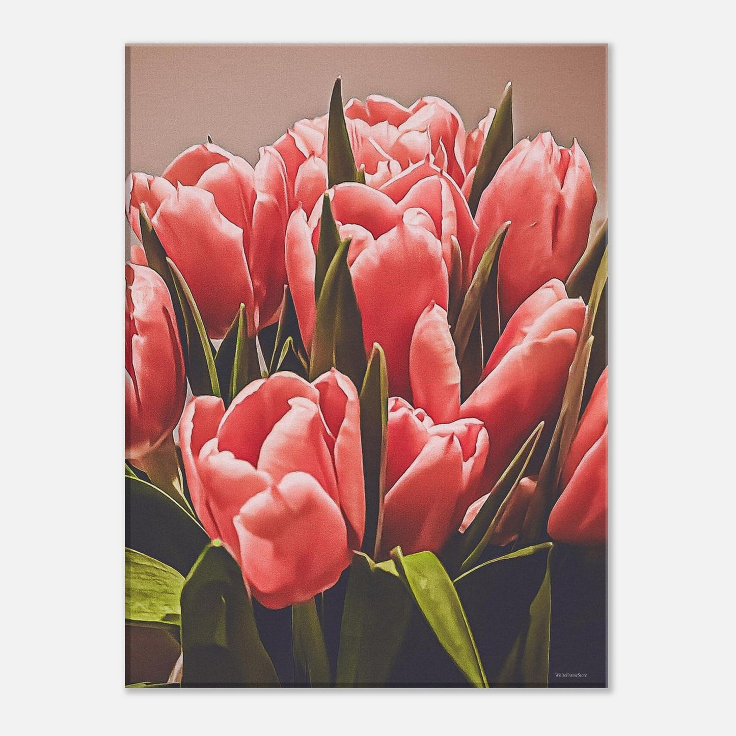 17c6afca-75a6-4e35-bdf2-75f4f1371f3d