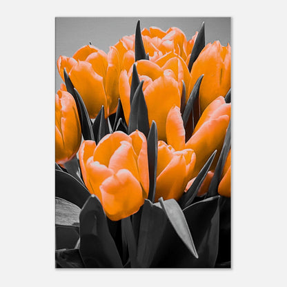 17d33734-8fb7-4f2f-a35f-833ffd91441c