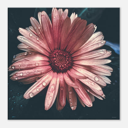 17e3e53a-d85e-423f-8d32-55ade36d82b6