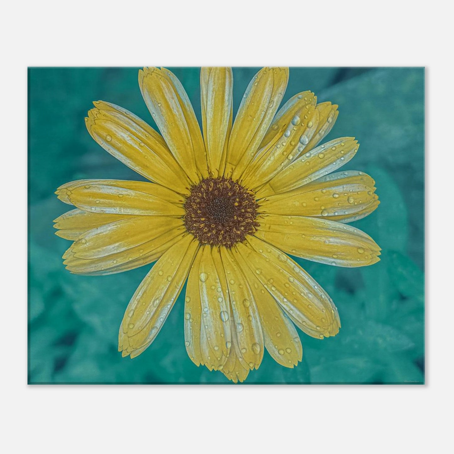 17e97738-0f71-4cae-966c-5d2facc6a980