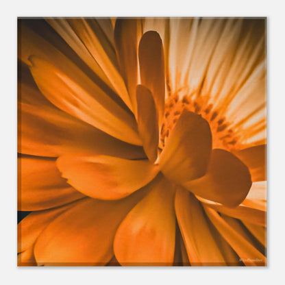 17f2f683-089c-4187-ab7f-6a7fa6dc00b5