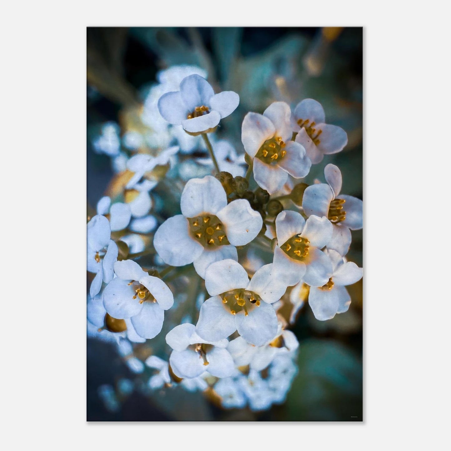 18744aec-65c6-4f56-9433-883df4e6bc26