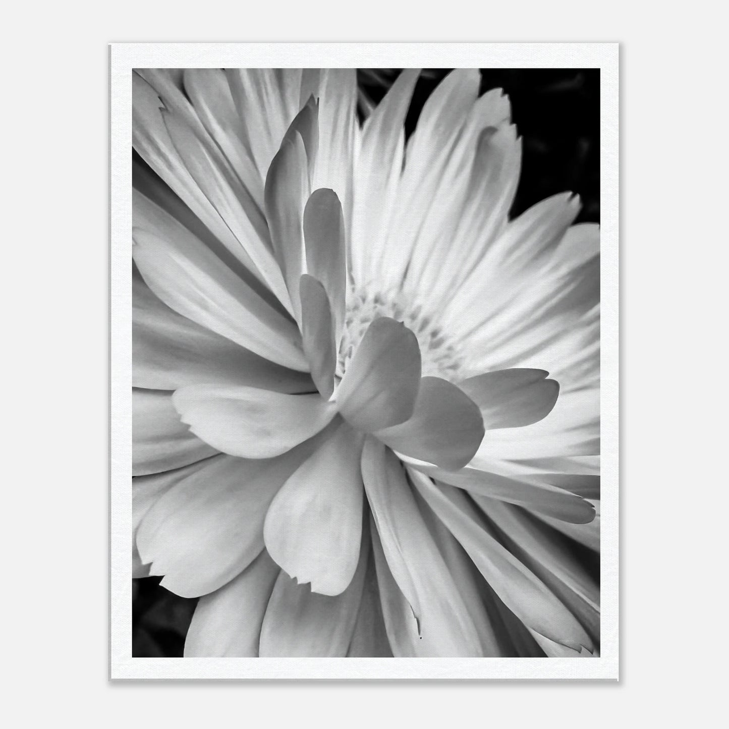 18e0746b-365e-4c19-8eb7-6d722d4aacfc