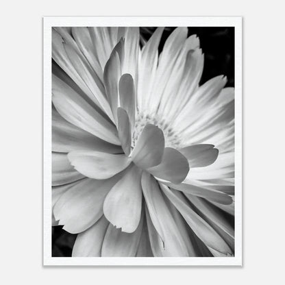 18e0746b-365e-4c19-8eb7-6d722d4aacfc