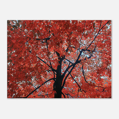 18eb4044-b308-4b41-bc34-76c6d78bff76