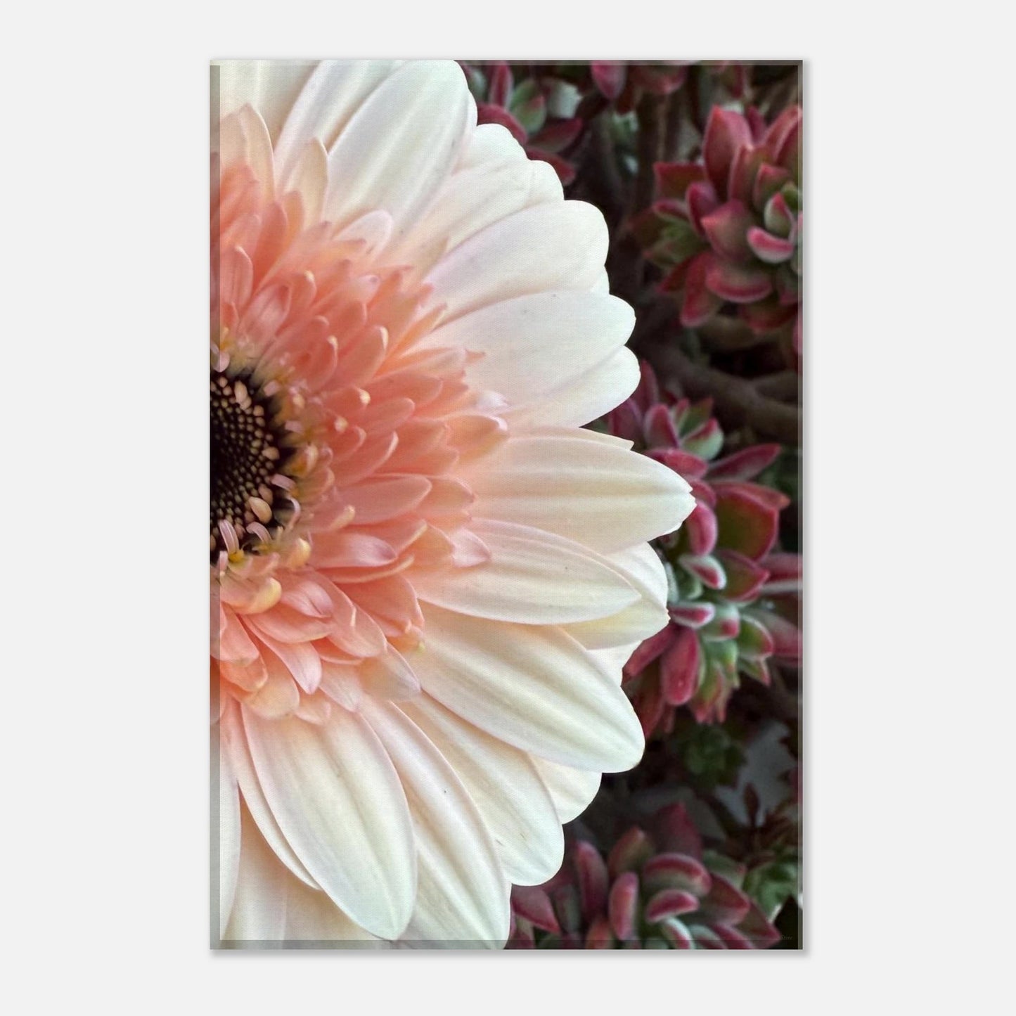 18fefa34-0e03-4fa0-8bf3-2ee79d524d84