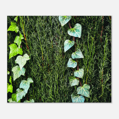 1915c790-6c1b-41d2-8548-14b7c7a783b7