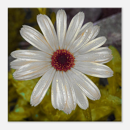 191ebb91-969e-48b1-aba3-a4bbaa793015