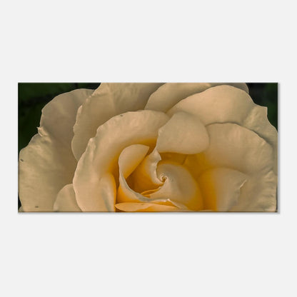 1929c76c-4632-40fc-a724-6c7340c83596