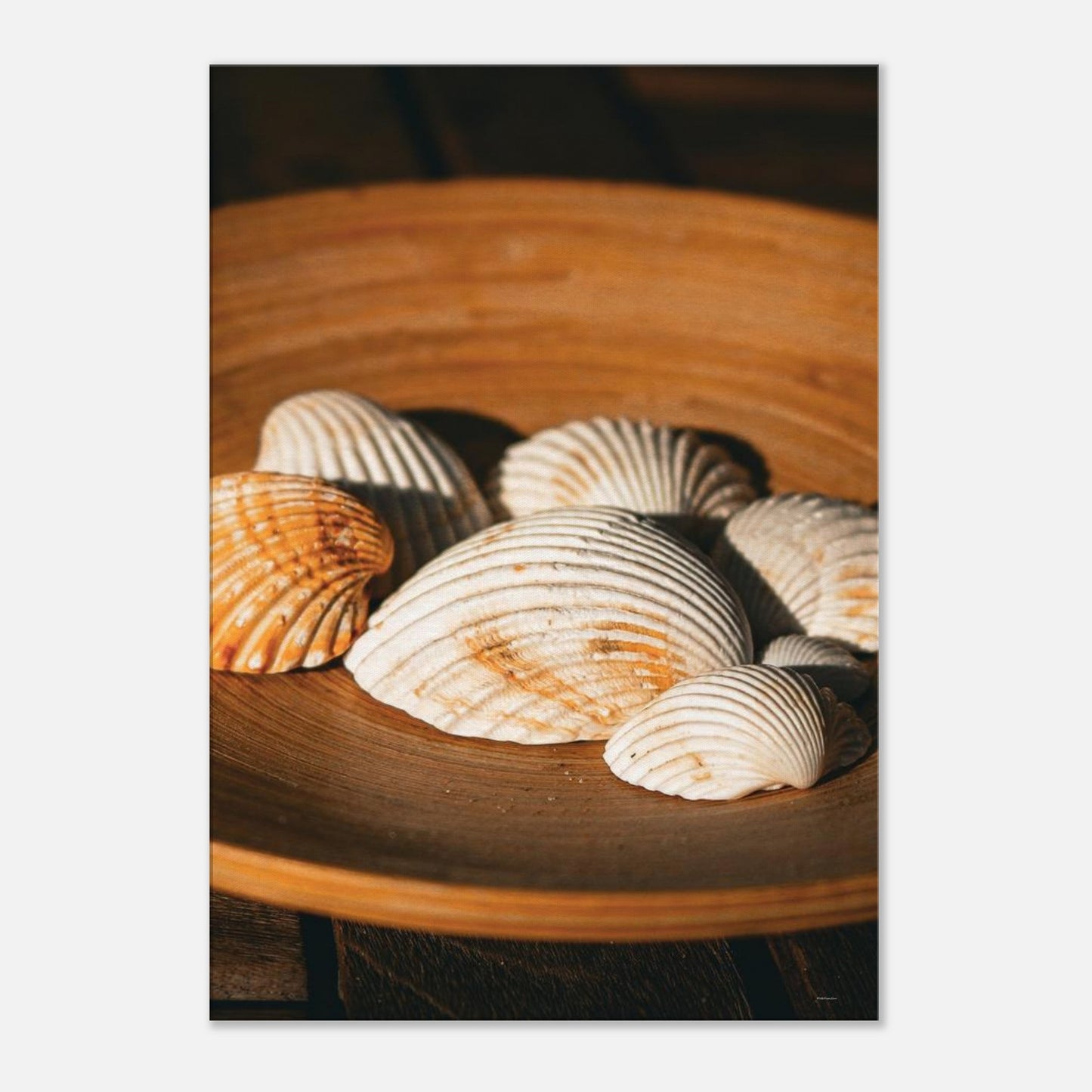 192fb257-8183-46f9-8a78-bb8abdb96e4a