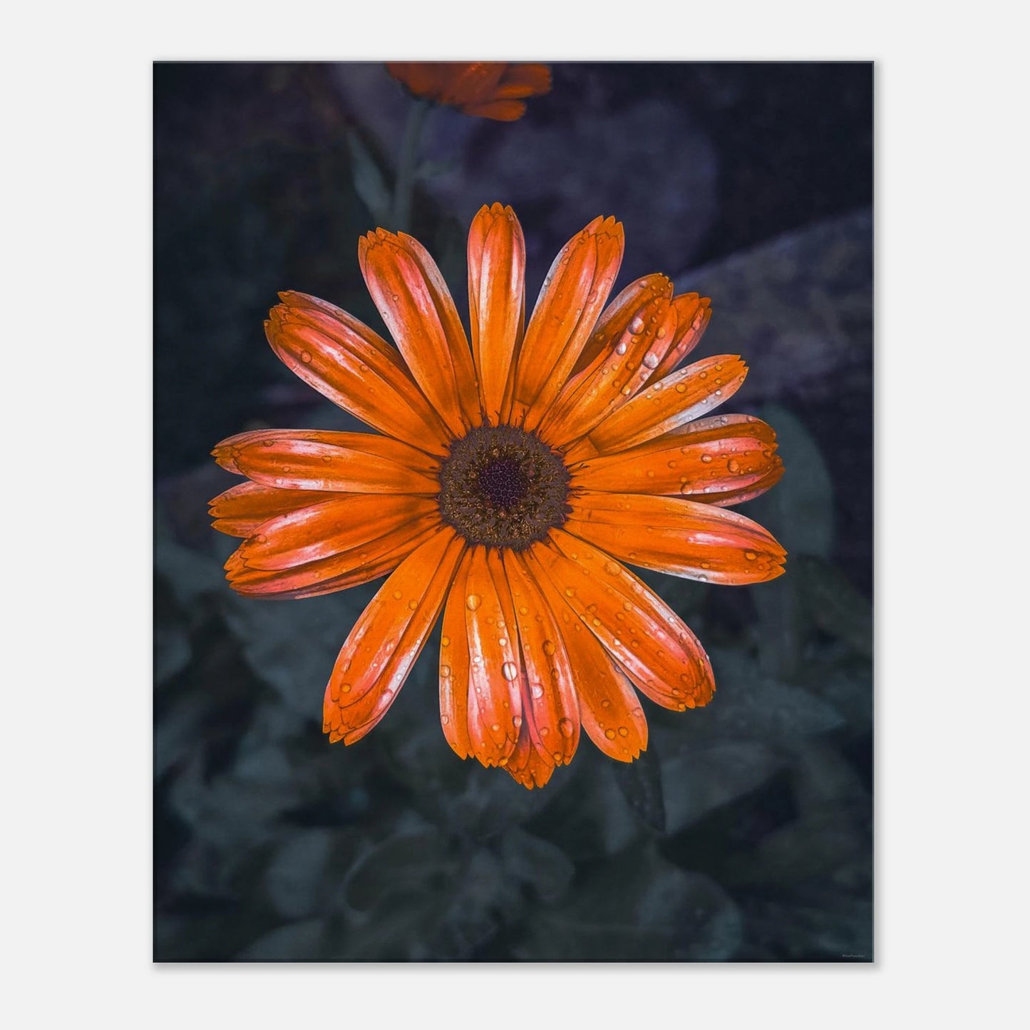 1979365a-b07d-4498-8995-707696631455