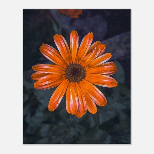 1979365a-b07d-4498-8995-707696631455