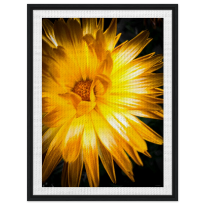 19c840f9-de62-41ce-ad9a-a8365f912307