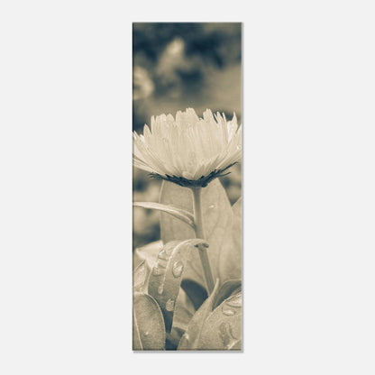 19e81dd3-6d75-42a4-9743-1d2c6ff5bc04