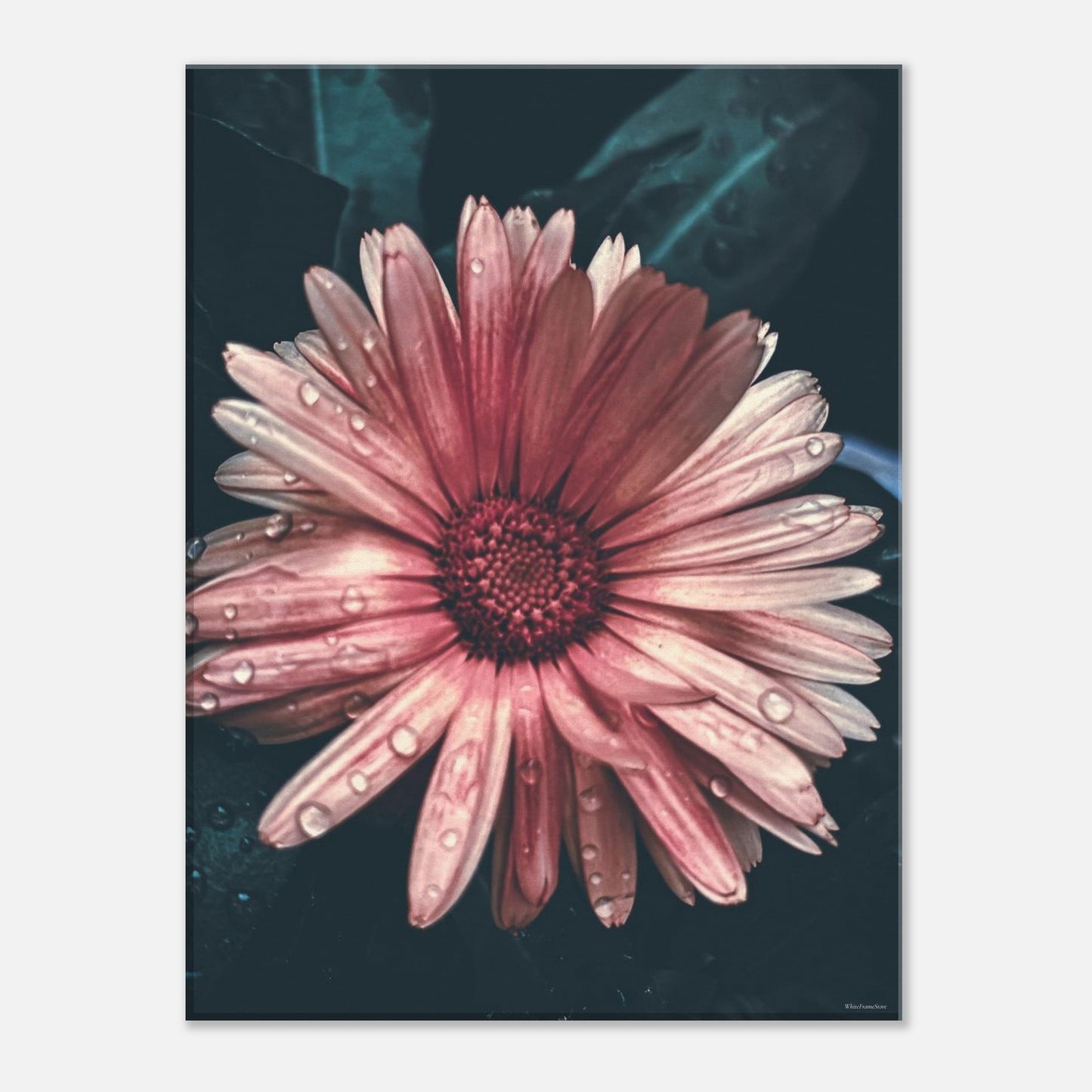 19e832cc-c75a-45b9-92c1-f5e62fc27f50